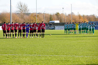 25110801 Evesham United v Farnham Town
